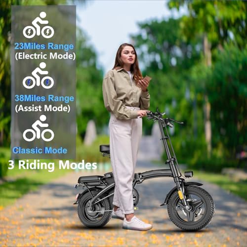Peak 500W 23MPH Folding Electric Bike 48V 12AH D799655