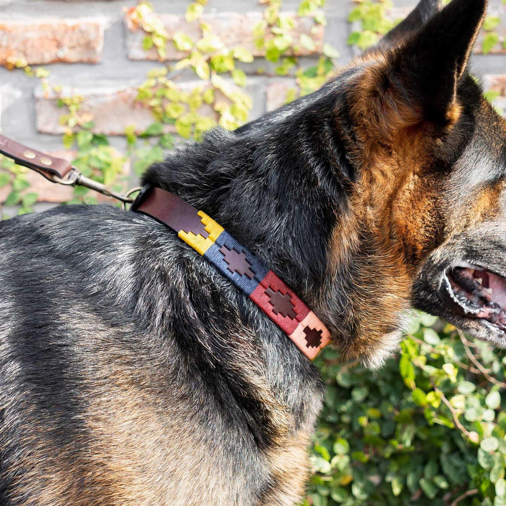 Leather Hand-Stitched Polo Dog Collar R2707