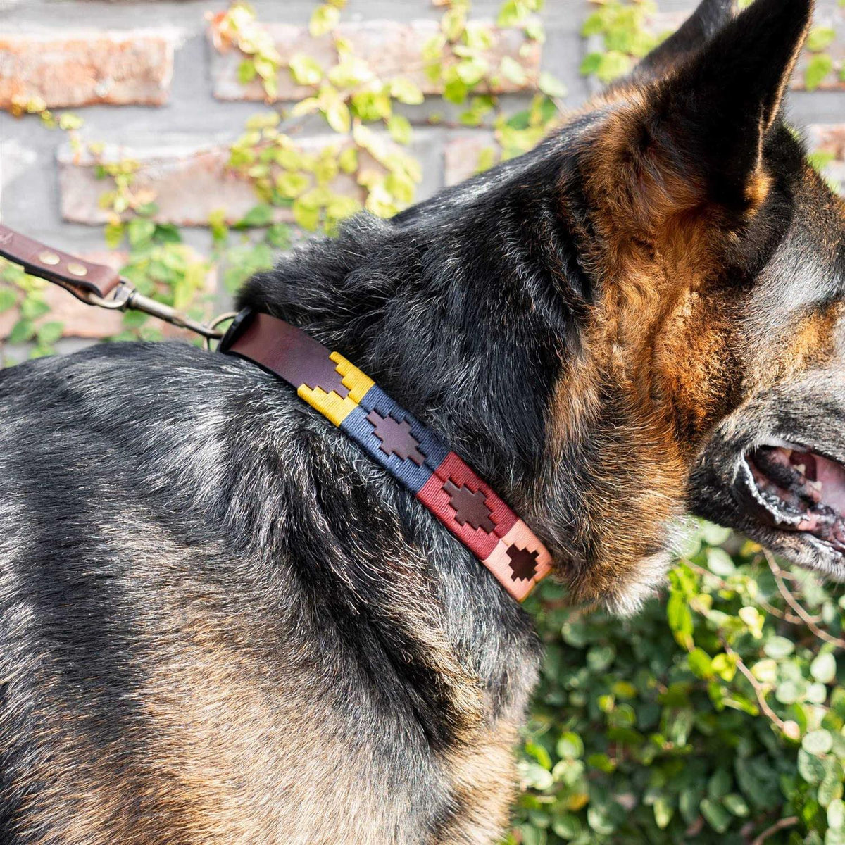 Leather Hand-Stitched Polo Dog Collar R2707