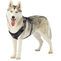 Adjustable Dog Harness with Pockets E488752