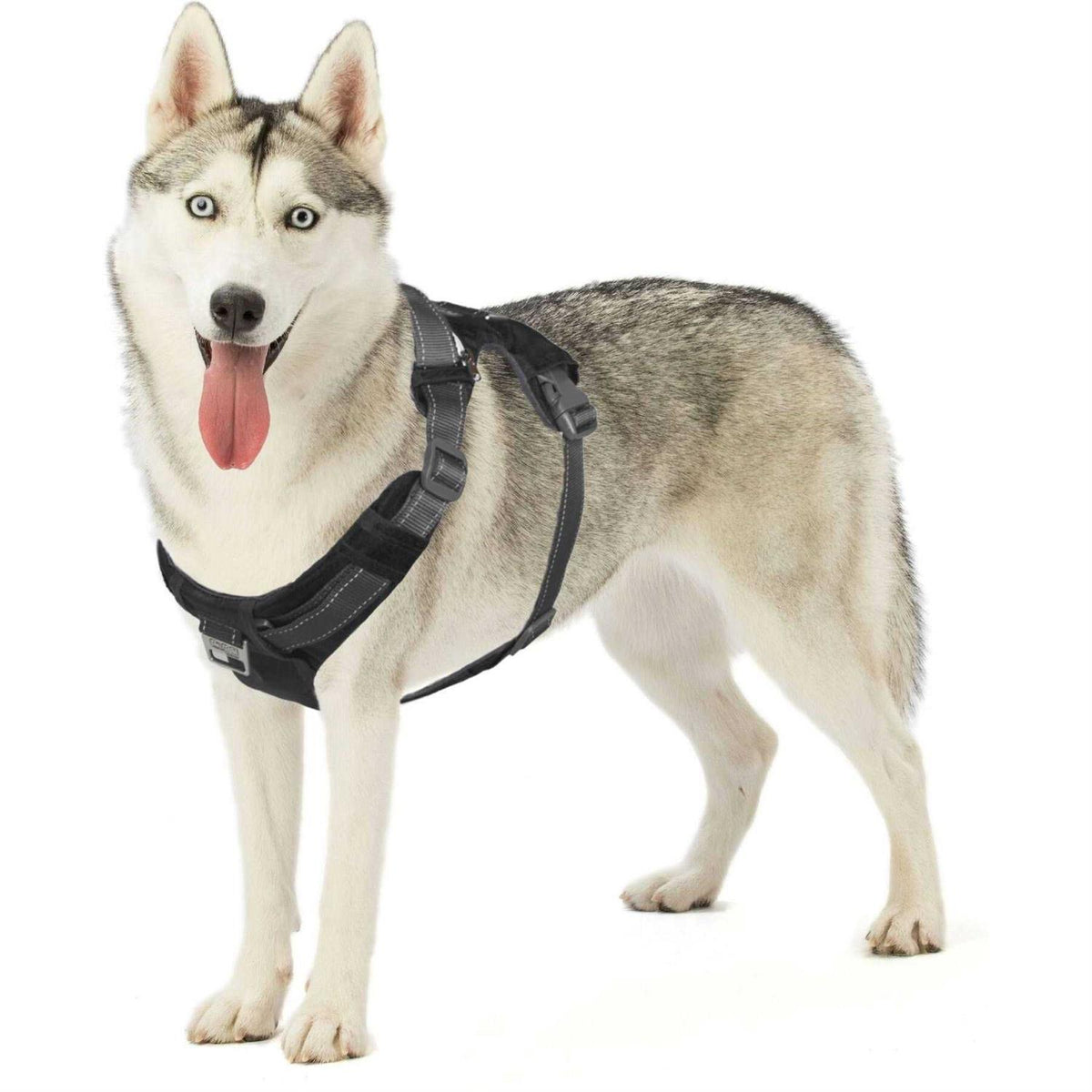 Adjustable Dog Harness with Pockets E488752