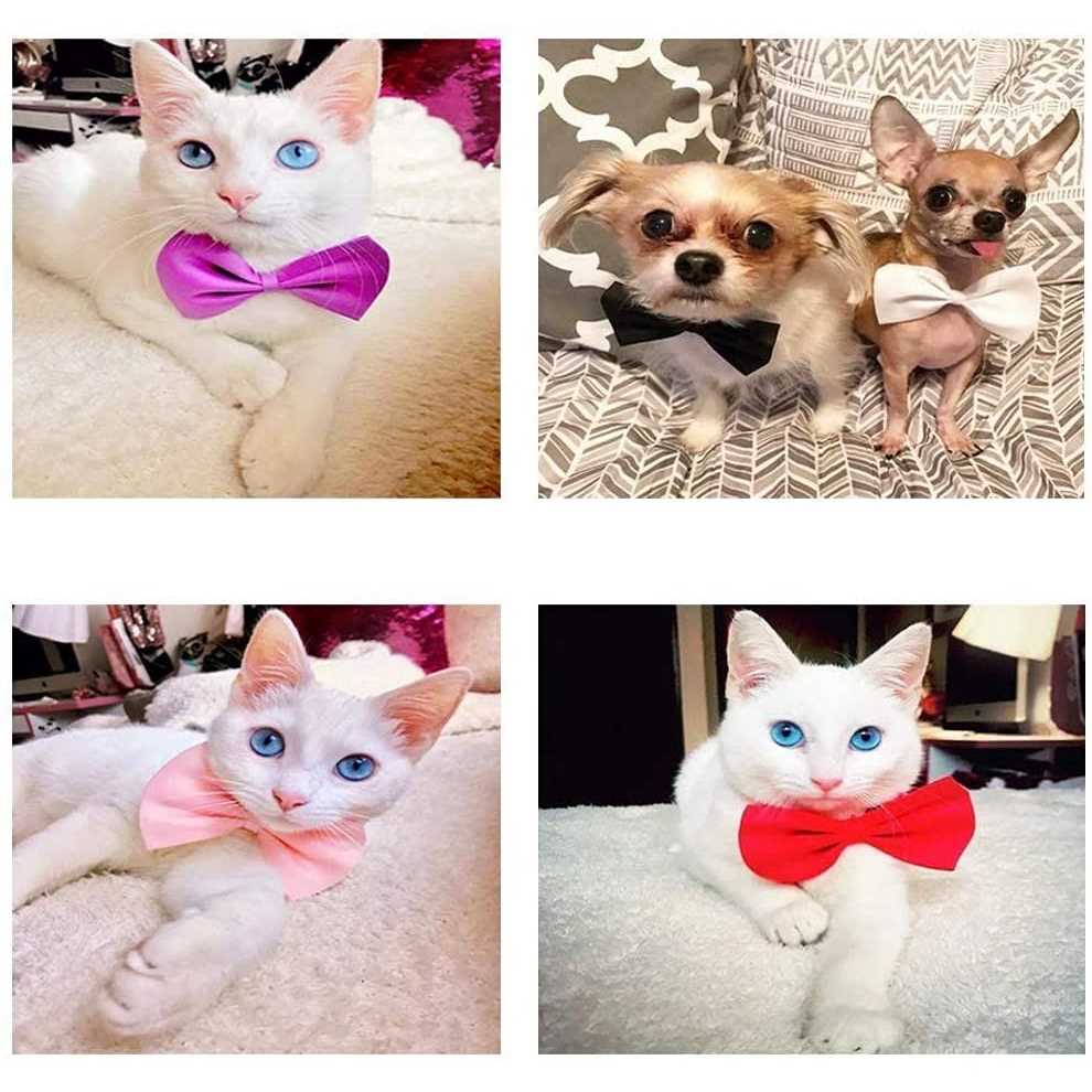 Dog Bow Ties with Adjustable Collar J253