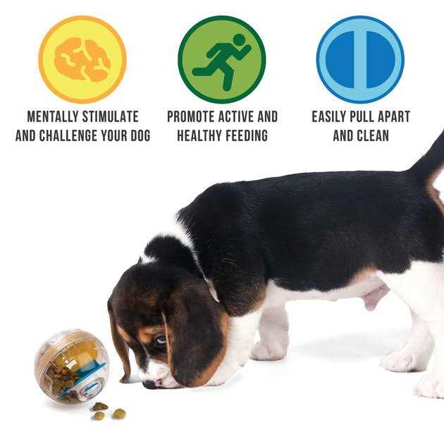 Dog Toy K483